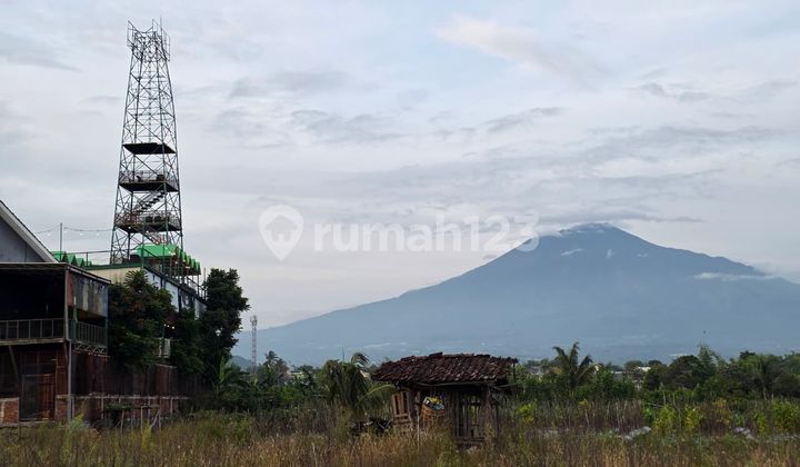 Jual Kost Dekat Kampus Umm di Dau Dekat Perkopian Dermo