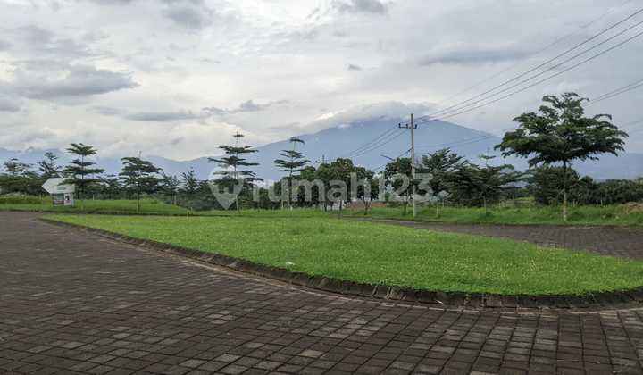 Tanah Murah Dau, Deket Uin 3 Kedokteran. Cocok Buat Kos! Tanah Murah Dau, Deket Uin 3 Kedokteran. Cocok Buat Kos!