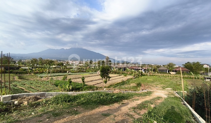 Di jual villa strategis kota batu garansi passive income pertahun