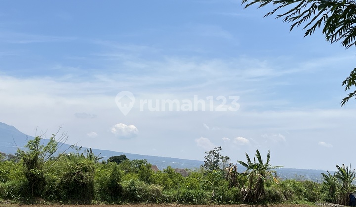 Cheap Land in Malang Area, Merjosari, Near UMM Campus Cheap Land in Malang Area, Merjosari, Near UMM Campus