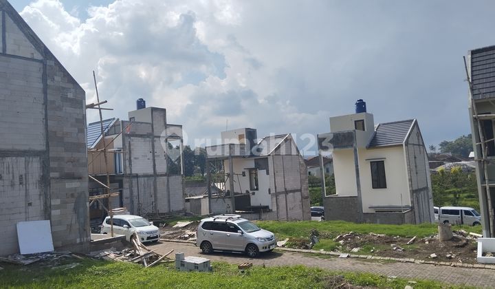Villa flower garden near Batu town square.