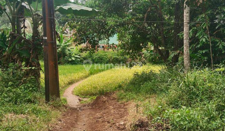 Tanah Harga Miring Banjar Pandeglang Nego 2