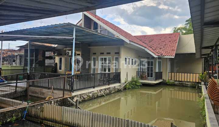 Ready-to-Occupy House &amp; Fishing Pond Business Land in Serang