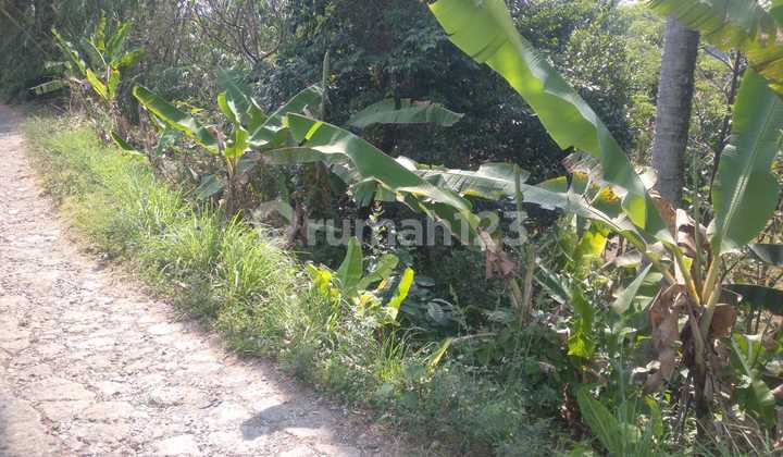 Peak Bogor Car Access Land