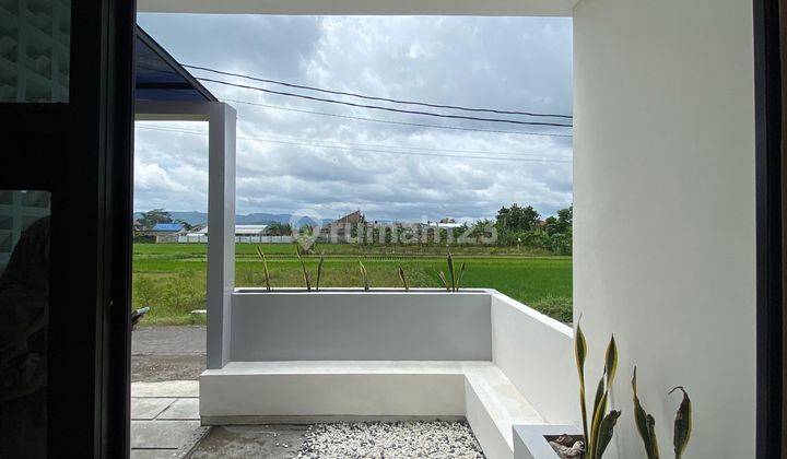 Rumah Tropis Dekat Dengan Polsek Berbah View Persawahan 2