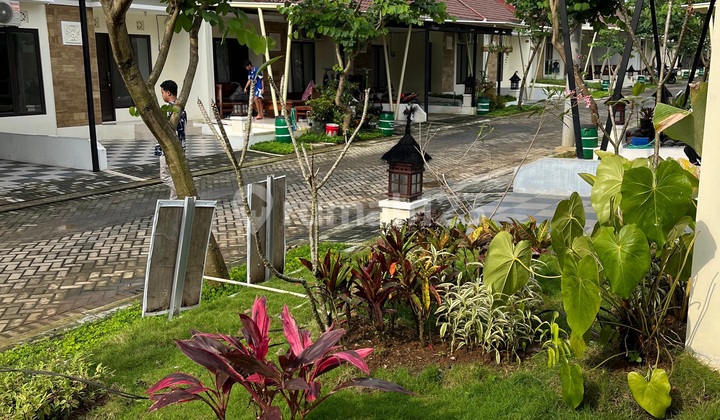 Gaji Umr bisa Punya Rumah! DP 0% All In 5 Juta 2