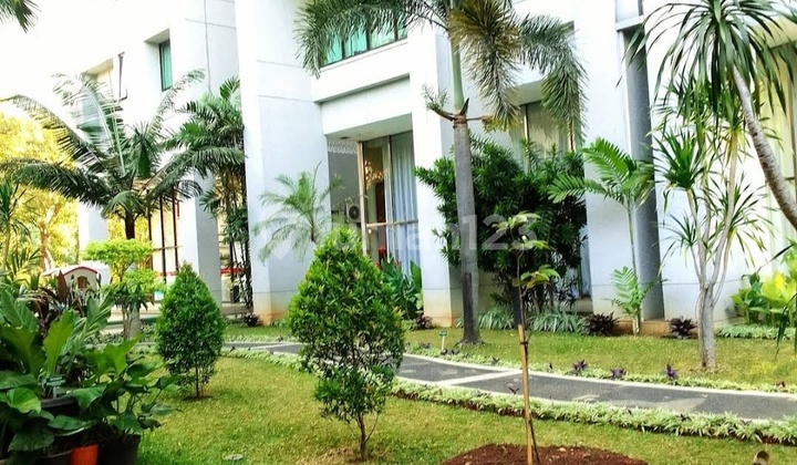 Dijual Exclusive Apartemen, Fully Furnished. Dijual Dibawah Njop