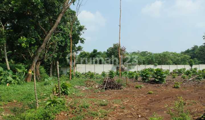 Dijual Tanah Shm 5000m Cisauk 2.5jt/m2 Nego Dijual Tanah Shm 5000m Cisauk 2.5jt/m2 Nego