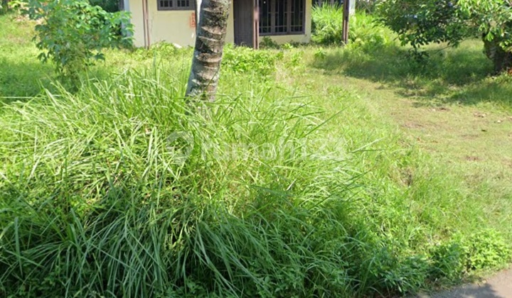 Dijual Cepat Tanah Pinggir Jalan Ditenjo Dekat Podomoro Tenjo