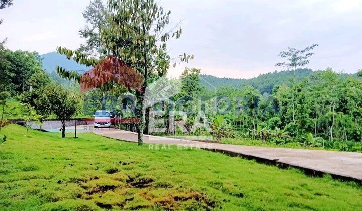 For sale, a villa in excellent condition and well-maintained, with a calm, cool atmosphere, complemented by very serene natural scenery.