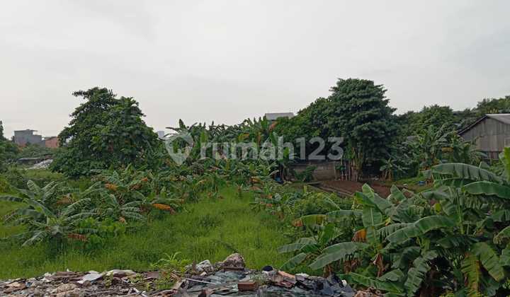 Commercial Plot in the industrial area - box field - AN