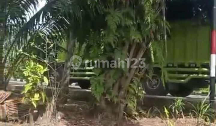 For Rent For Sale Strategic Commercial Plot in Bengkulu Only 1 Km to Airport Area 3094m2 Just 105 Million/Year!! Still Within the City Masya!! Sumatra For Rent For Sale Strategic Commercial Plot in Bengkulu Only 1 Km to Airport Area 3094m2 Just 105 Million/Year!! Still Within the City Masya!! Sumatra