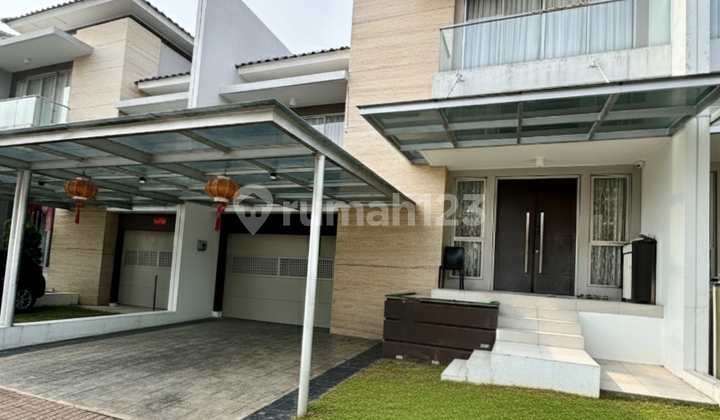 Golf Island Custer Violin Harga Termurah Cluster Elit