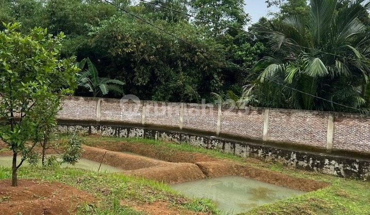 Dijual Cepat Tanah Kebun Murah Di Jasinga Bogor