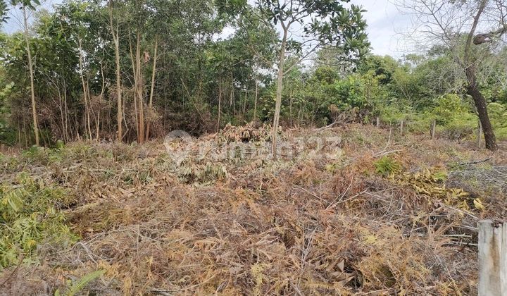 Dijual Cepat Tanah Kavling Di Sepinggan Balikpapan Tanah di Balikpapan, Jl. Syarifuddin Yoes, Kelurahan Sepinggan, Balikpapan Selatan, Kota Balikpapan, Kalimantan Timur, Indonesia, 76115, Sepinggan