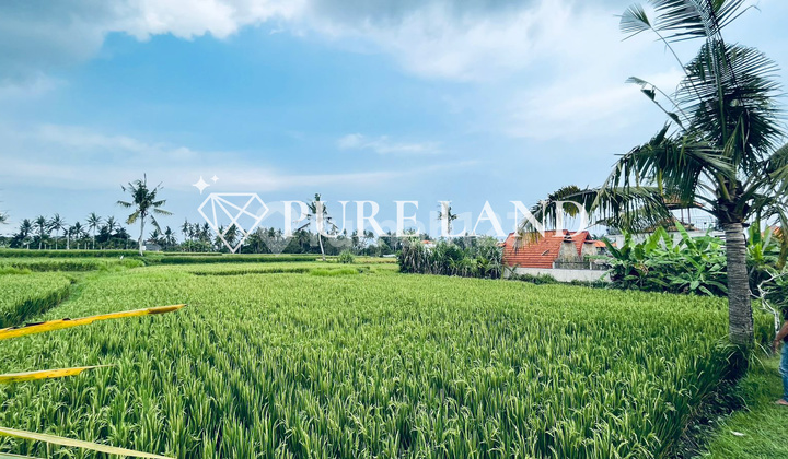 Tanah dengan Pemandangan Sawah yang Damai di Ubud Tanah dengan Pemandangan Sawah yang Damai di Ubud