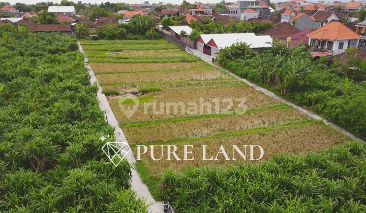 24 Are Pristine Land in Kerobokan