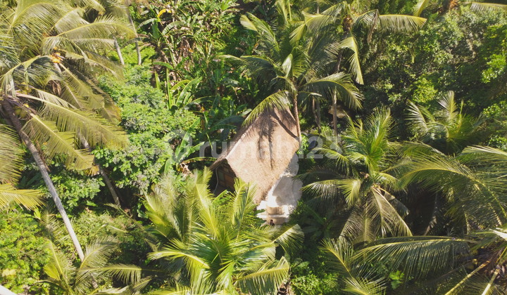 Villa 1Kt di Tengah Hutan-Surga Alam di Ubud