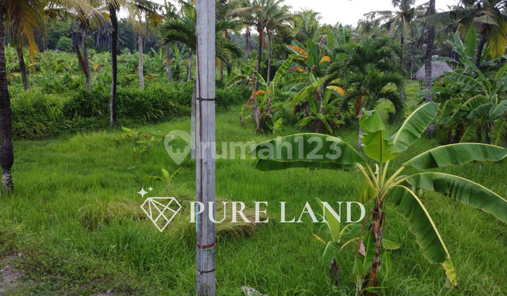 Tanah 40 Are di Sebelah Pantai Karangasem 2