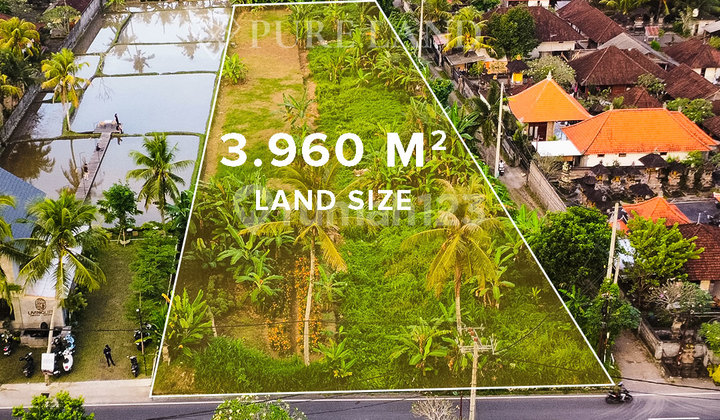 39 Jalan Utama Tanah di Ubud 39 Jalan Utama Tanah di Ubud