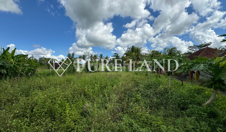 Pristine Land In Bitera Ubud