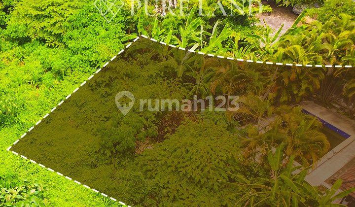 8.3 Are Pristine Land in Kerobokan