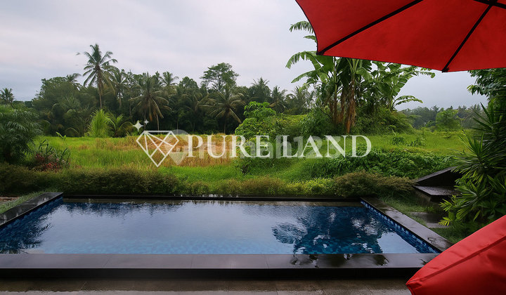 3X1br Investment Villas With Supreme View 2