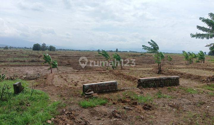 Tanah SHM Lokasi Strategis di Mekarjaya, Gantar, Indramayu 1
