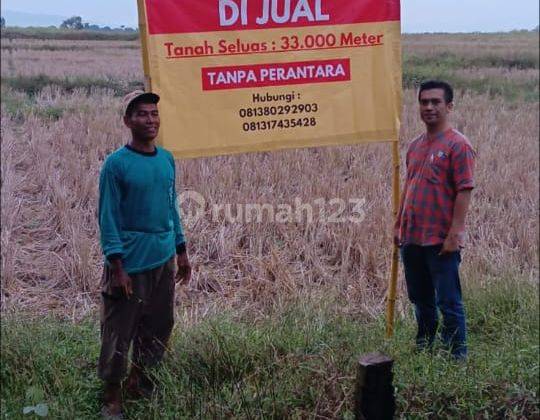 Tanah SHM Lokasi Strategis di Mekarjaya, Gantar, Indramayu 2