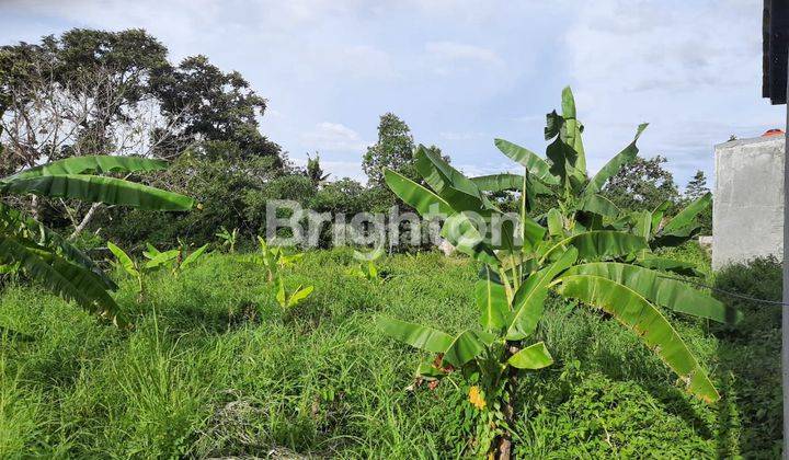 DIJUAL TANAH 1.941 m² – LOKASI STRATEGIS DI SUKABUMI, BANDAR LAMPUNG 1
