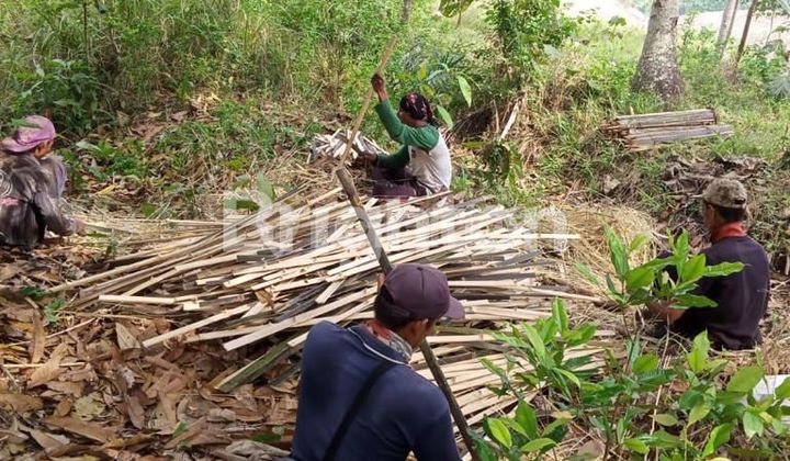 DIJUAL TANAH SANGAT STRATEGIS LUAS 5 HEKTAR – SIDOMULYO