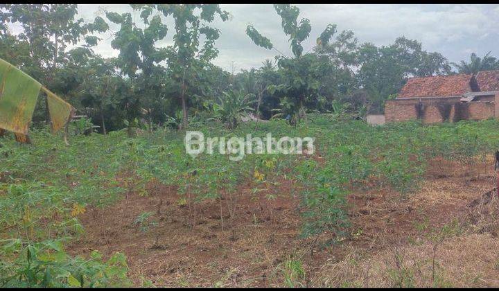 Dijual Tanah 1000 m² di Karang Anyar, Jati Agung – Investasi Terjangkau! 1