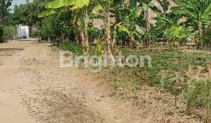 Tanah Strategis Dekat RS Airan Lampung Selatan - Harga Terjangkau! 1