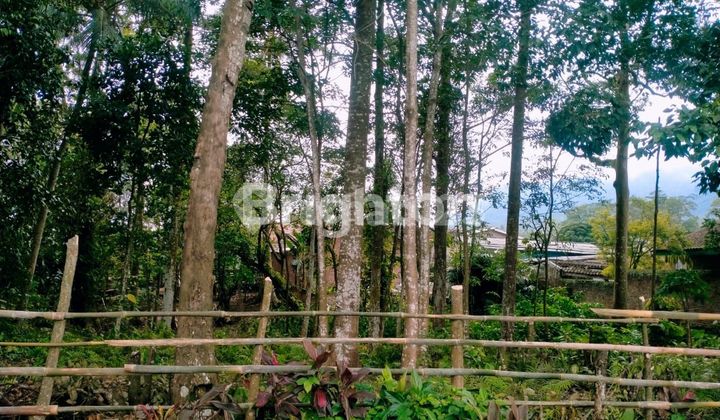 DIJUAL TANAH MAKAM DI KEMILING, BANDAR LAMPUNG DIJUAL TANAH MAKAM DI KEMILING, BANDAR LAMPUNG