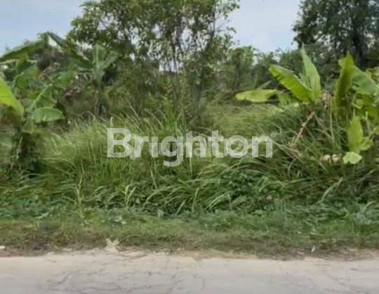 DIJUAL CEPAT – TANAH LUAS DAN SANGAT STRATEGIS LOKASI JALAN TIRTAYASA, BANDAR LAMPUNG 1
