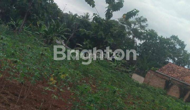 Dijual Tanah 1000 m² di Karang Anyar, Jati Agung – Investasi Terjangkau! 2