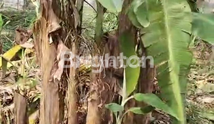 DIJUAL CEPAT TANAH + BONUS RUMAH – LOKASI STRATEGIS DI PERUM KORPRI 2