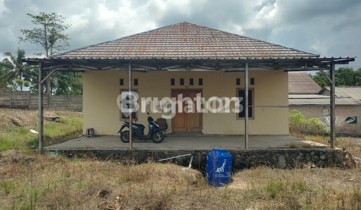 DISEWAKAN CEPAT! TANAH STRATEGIS ±2.1 HEKTAR DI KALIANDA, LAMPUNG SELATAN DISEWAKAN CEPAT! TANAH STRATEGIS ±2.1 HEKTAR DI KALIANDA, LAMPUNG SELATAN