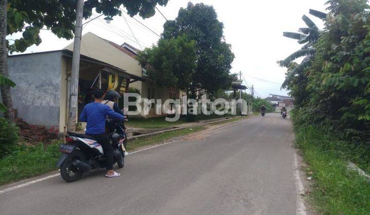 Dijual Tanah Strategis di Jalan Raya Karang Anyar – Investasi Masa Depan! 1