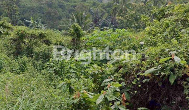 DIJUAL TANAH 1.850 M² DI SUKADANAHAM – VIEW LAUT, KOTA & PEGUNUNGAN