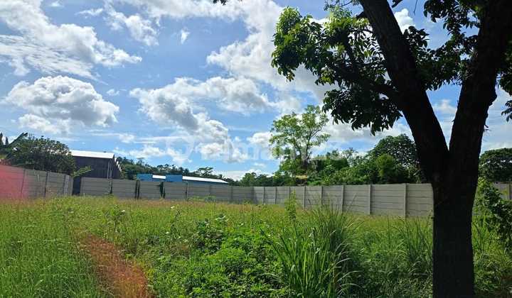 Strategic Land for Sale in Tigaraksa - Growing Environment and Promising Investment Prospects