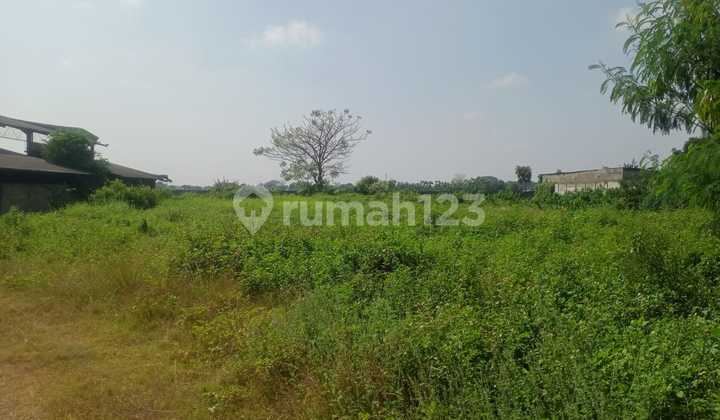Tanah di Area Premium Pasar Kemis, Cocok untuk Hunian atau Usaha