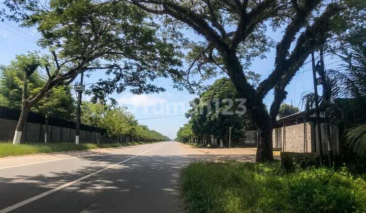 Land Area 6,000 M² Ready to Build - Promising Investment!