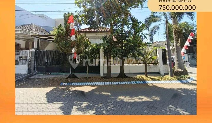 Rumah Bagus Siap Huni Sangat Nyaman dan Asri di Sidoarjo