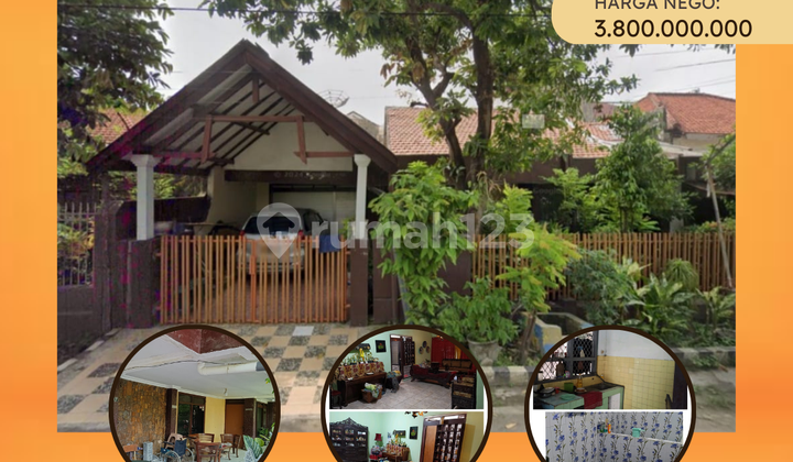 Rumah Nyaman dan Asri Cocok untuk Kos di Tenggilis Rumah Nyaman dan Asri Cocok untuk Kos di Tenggilis