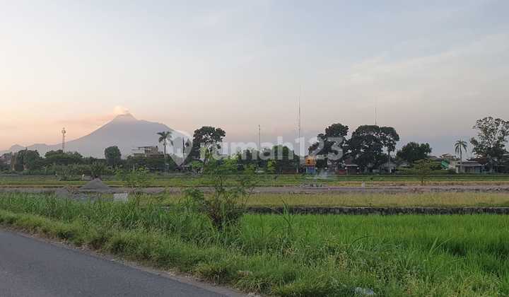 Tanah Tepi Jalan Raya Jogja Solo Dekat Candi Prambanan Tanah Tepi Jalan Raya Jogja Solo Dekat Candi Prambanan