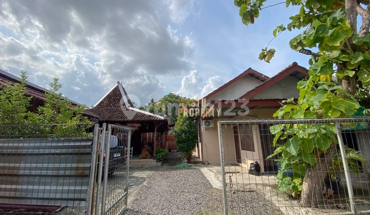 Ready-to-Live Homestay Near Ambarukmo Plaza Yogyakarta Ready-to-Live Homestay Near Ambarukmo Plaza Yogyakarta