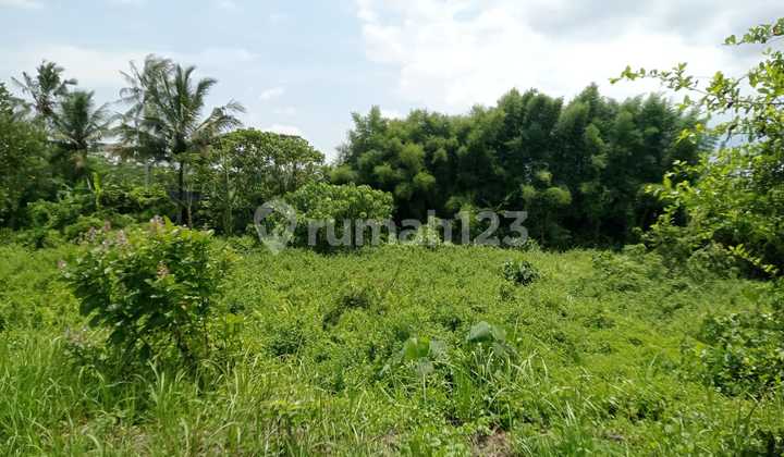 Tanah Strategis Tepi Jalan Utama di Magelang Tanah Strategis Tepi Jalan Utama di Magelang