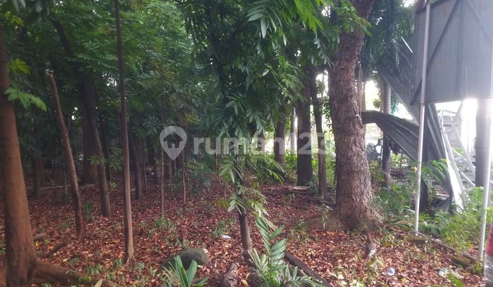 Dijual Tanah Serbaguna Cocok Untuk Gudang Bangun Cluster Dan Usaha Di Pegangsaan