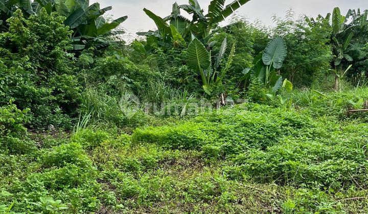 Jual Tanah Samping Kantor Walikota Tangerang Nego Jual Tanah Samping Kantor Walikota Tangerang Nego